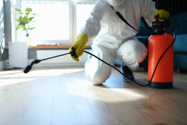 Reliable Odor Removal contractor in Babcock, WI by Trauma Clean Pros